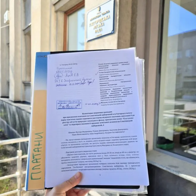 426557668 10232646011400716 7990072594734256720 N