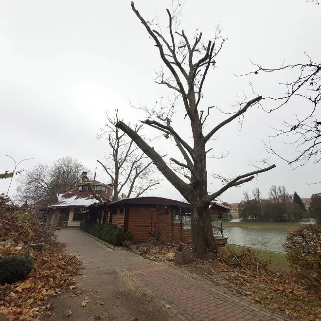 423715842 10232533951519289 5050661929172924281 N