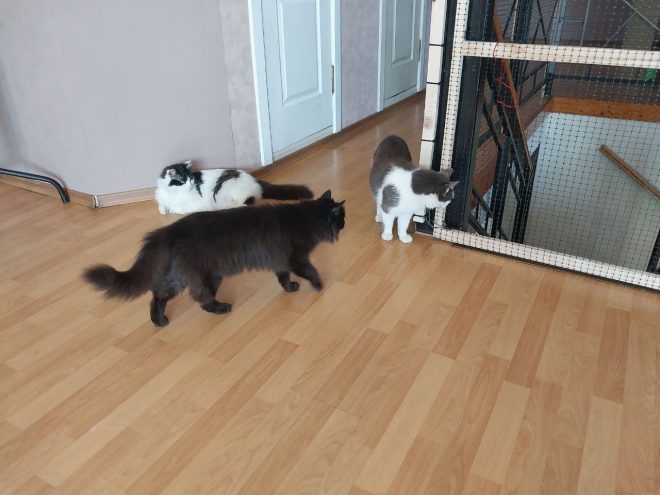 Photo 2024 03 29 16 38 53 2