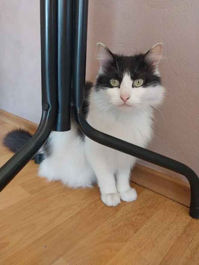 Photo 2024 03 29 16 38 45