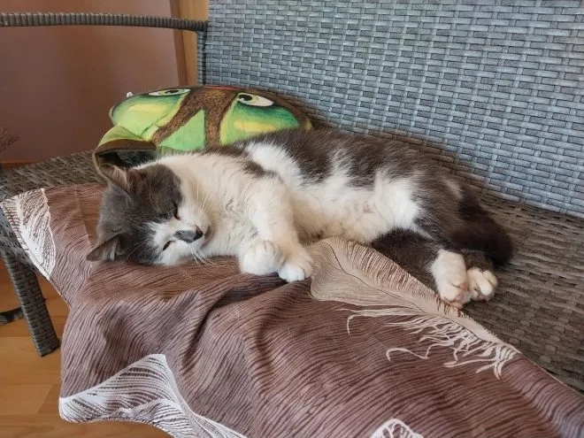 Photo 2024 03 29 16 38 44