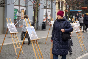 Фотовиставка, приурочена до 1000 днів повномасштабної війни, проходить в Ужгороді