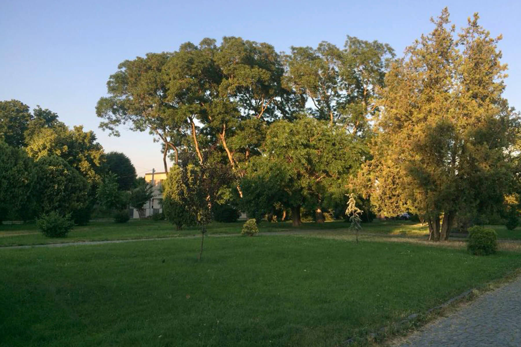 Labortsa Sq 2