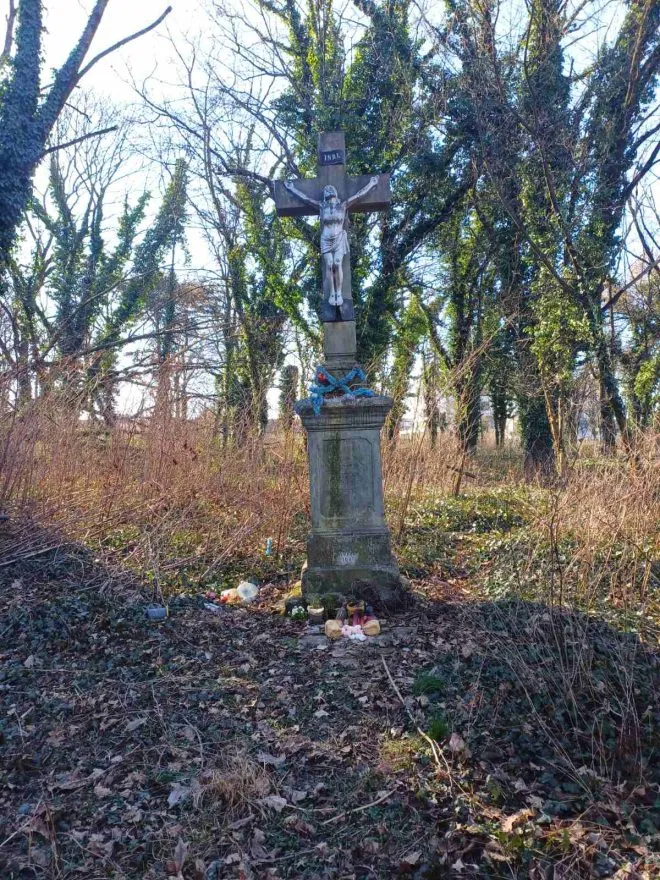 изображение Viber 2025 03 19 15 08 13 237