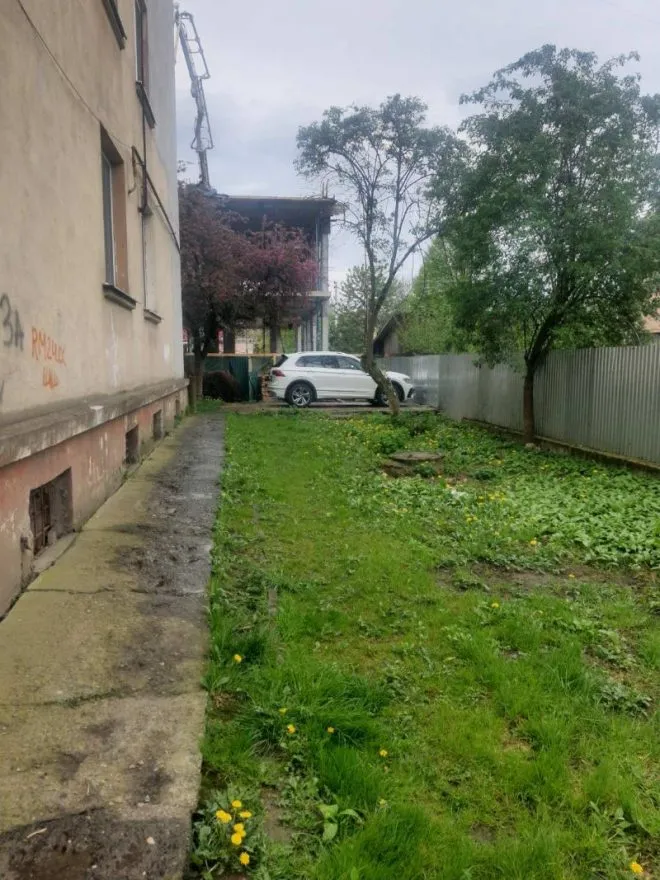 зелена зона1