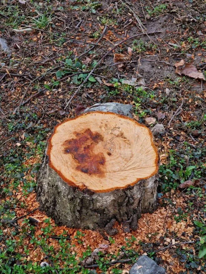 Whatsapp Image 2025 05 26 At 19.20.47 B6c243b9