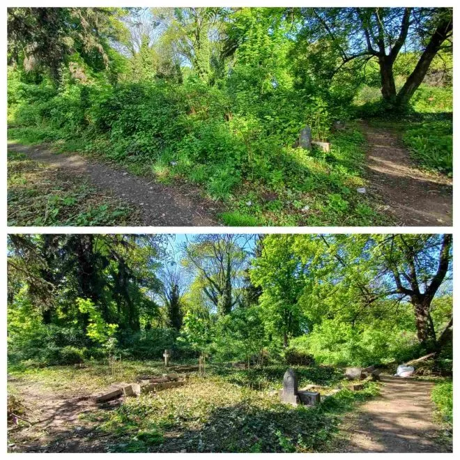 толока на цвинтарі