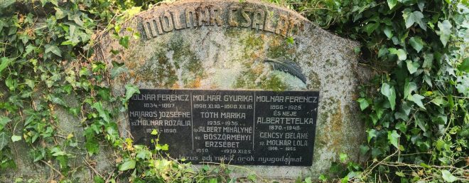 толока на цвинтарі7