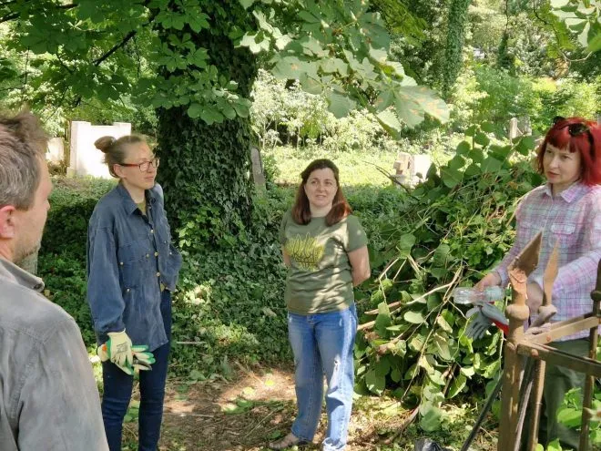 толока на Капушанській4