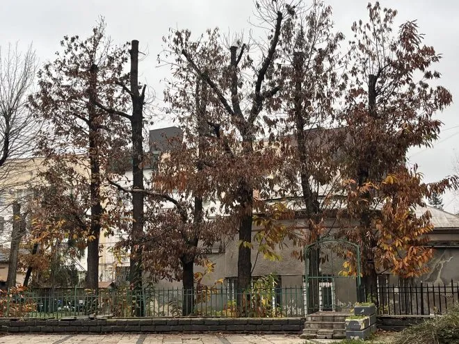 588101826 1155571033377851 5022168180637548213 N