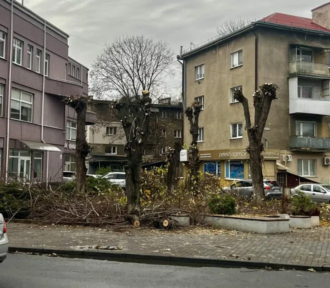 дерева кроновані Швабська