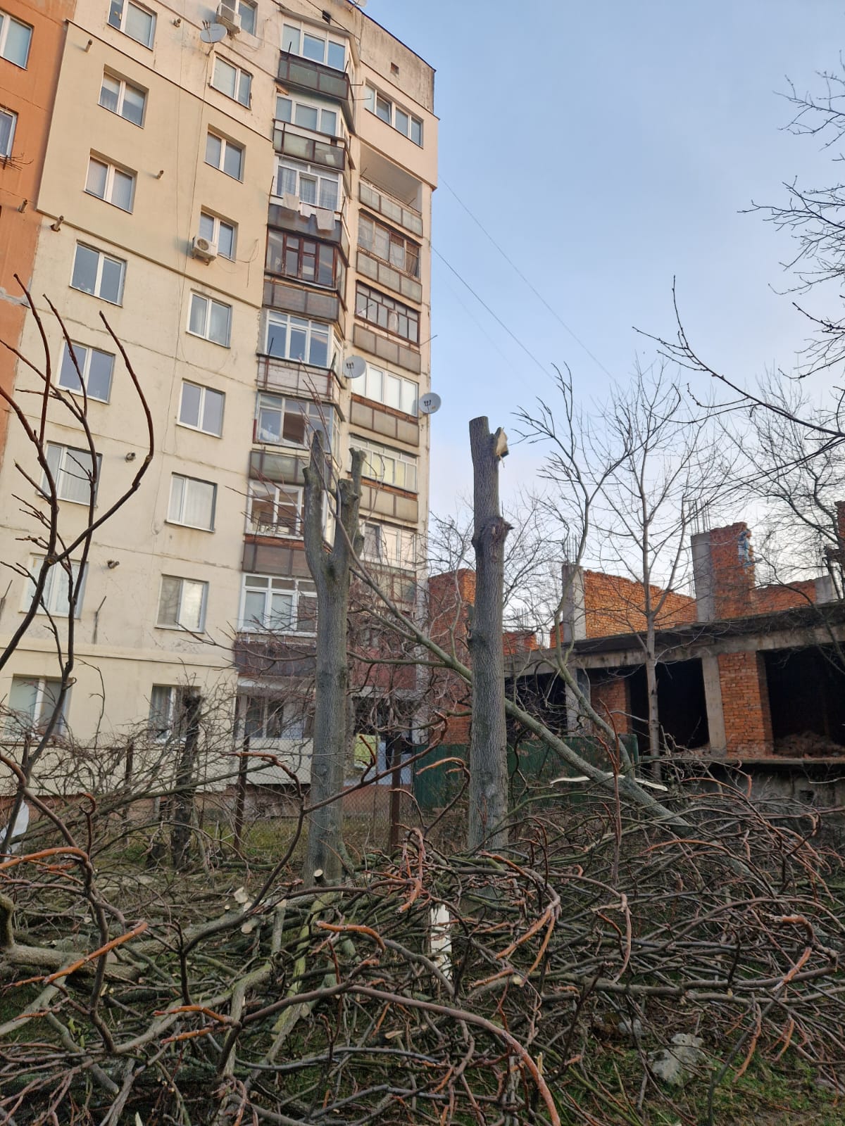 Whatsapp Image 2025 05 26 At 19.20.47 A56a53a3