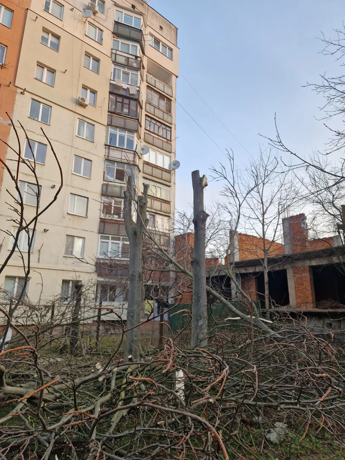 Whatsapp Image 2025 05 26 At 19.20.47 A56a53a3