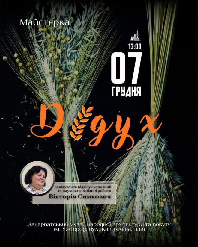 592030446 1175132764741126 3460155015411062449 N