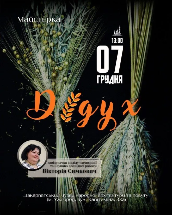 592030446 1175132764741126 3460155015411062449 N