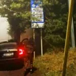 Фатальна поїздка на Закарпаття: чеський таксист втратив автомобіль через одну дрібницю в багажнику