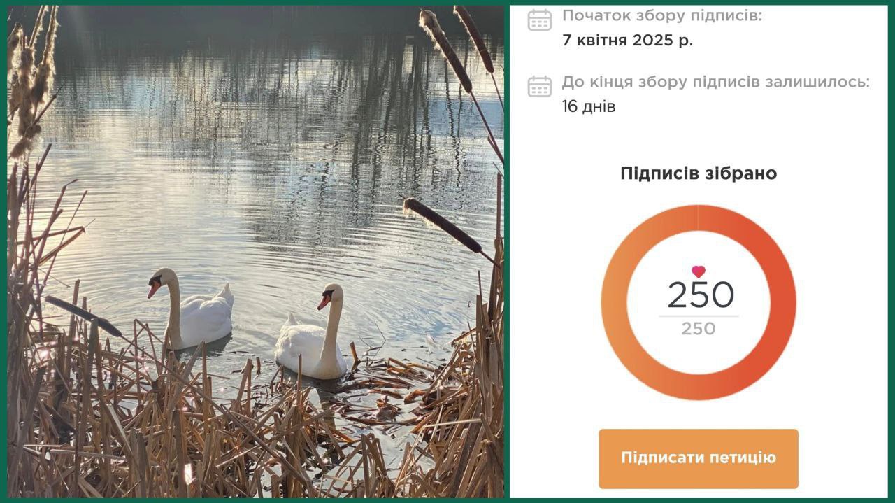 Питання про створення парку "Чорні озера", підтримане ужгородцями в петиції, виносять на сесію міськради (ДОКУМЕНТИ)